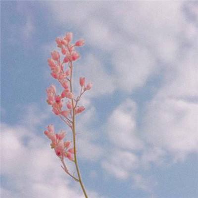 南宫体育app下载安装app下载